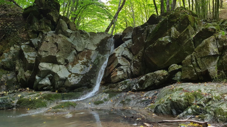 Borzești Stream landscape