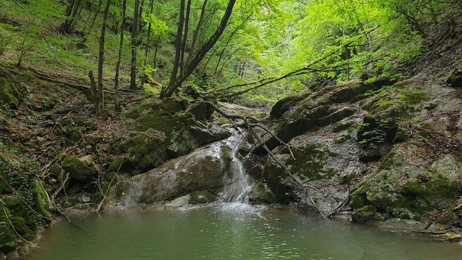 Borzești Gorges landscape