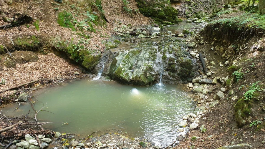 Borzești Stream