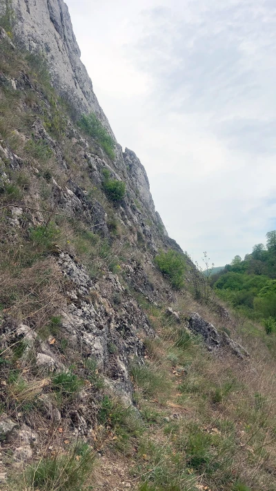 Slope in the Vălișoara Gorges