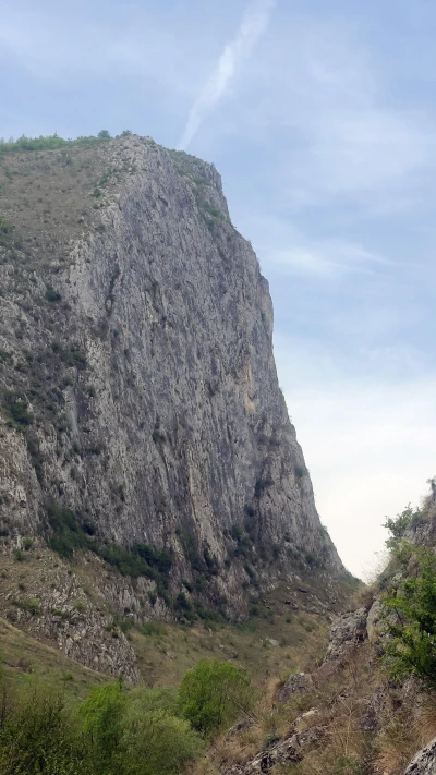 Slope in the Vălișoara Gorges