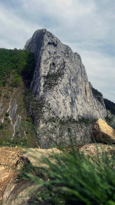 Vălișoara Gorges landscape: gorge slope