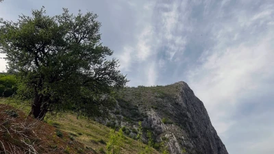 Vălișoara Gorges landscape