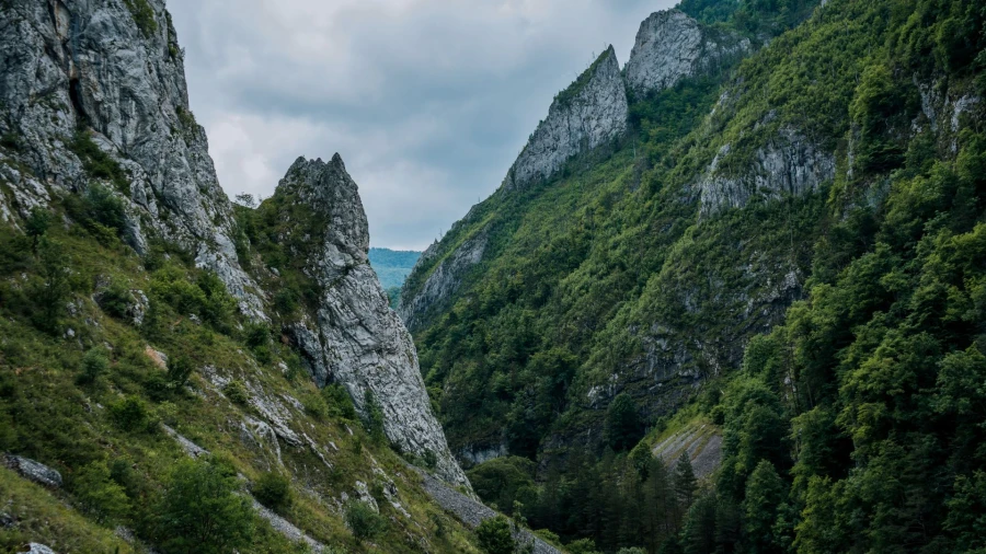 Landscape: Râmeț Gorges