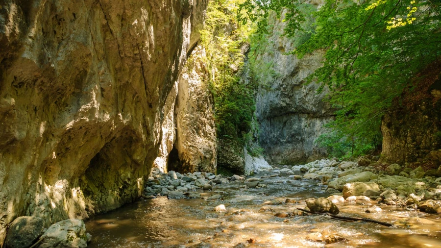 Râmeț Gorges trail