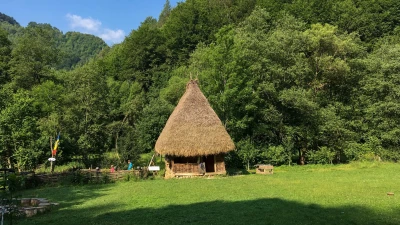 Barn in Cheia Village