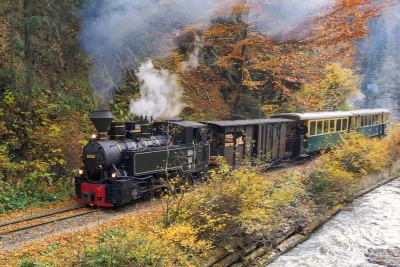 The Mocănița narrow-gauge train running through the hills