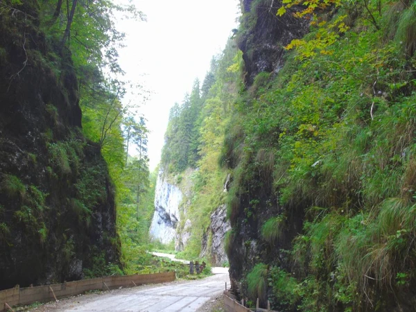 Sommerlandschaft in der Ordâncușa-Schlucht