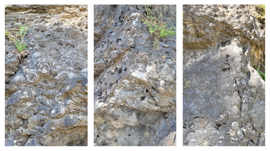 Bilder vom Schneckenhügel