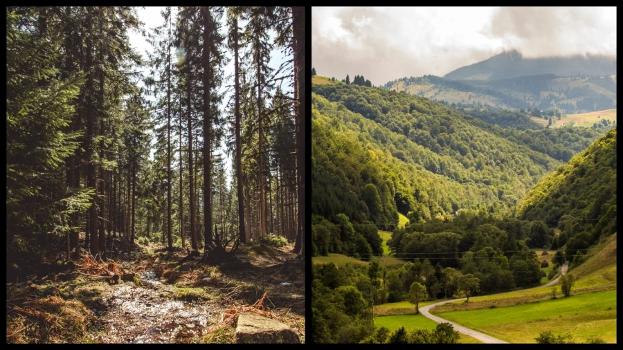 Auf dem Weg zum Vlădeasa-Gipfel