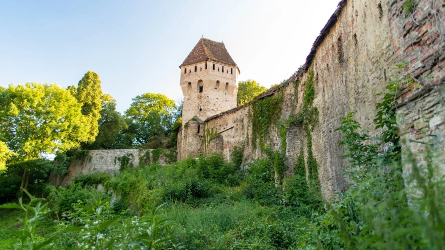 Walls and defense tower of Sighișoara Citadel