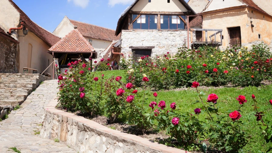 Inner courtyard of Râșnov Fortress