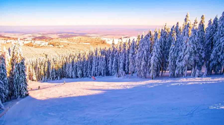 Păltiniș Ski Resort