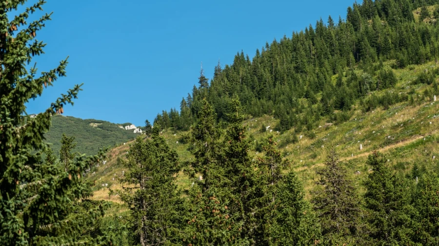 Naturpark Bucegi