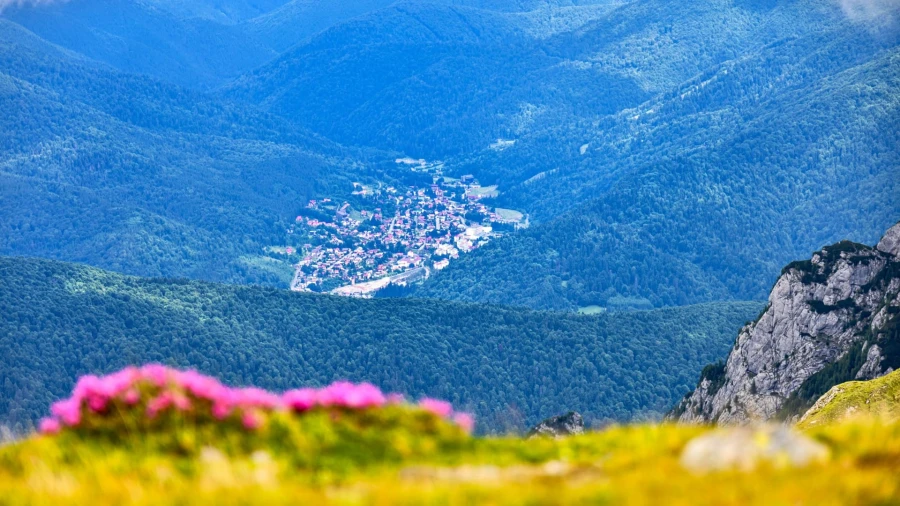 Azuga - Blick von oben