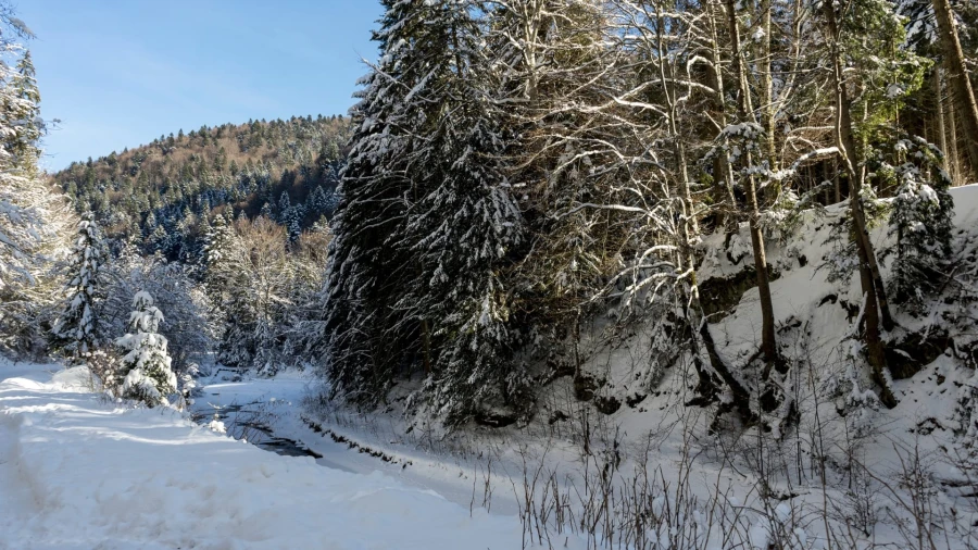 Landschaft bei Azuga