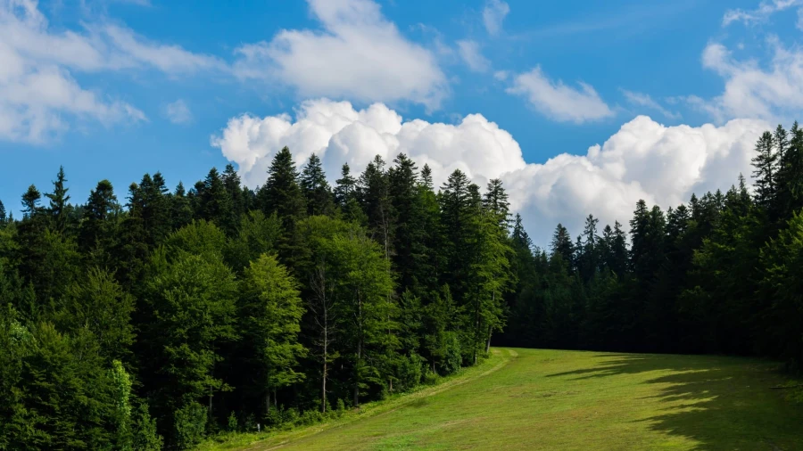 Skipiste in Predeal im Sommer
