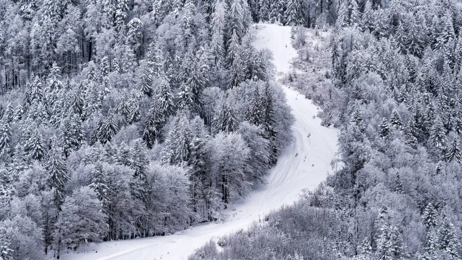 Skifahren
