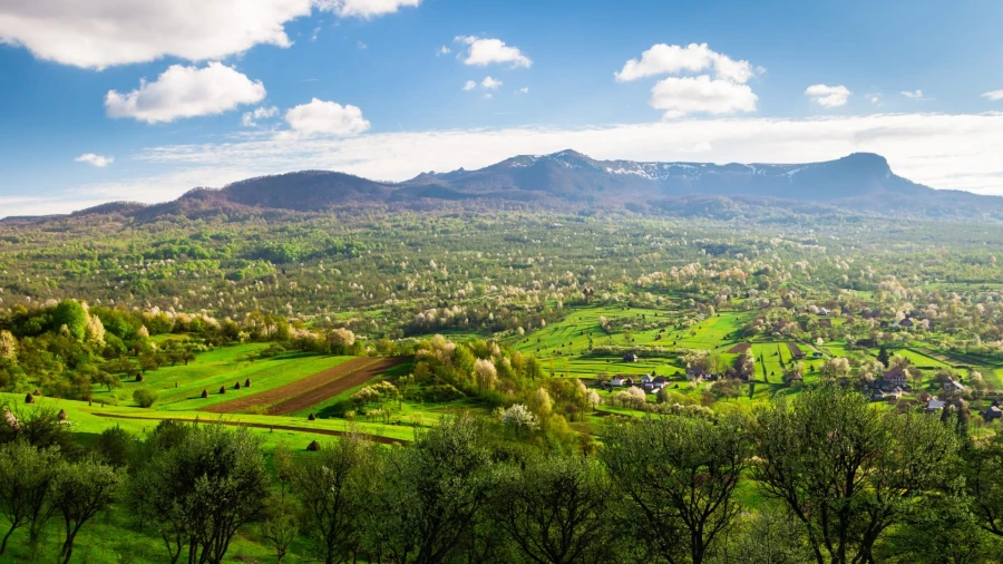 Im Maramureș-Land