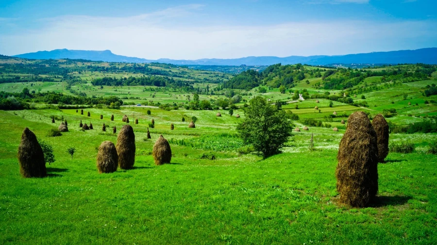 Sommer in Maramureș