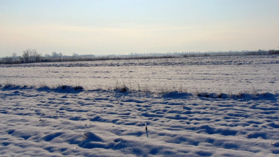 Winter in Maramureș