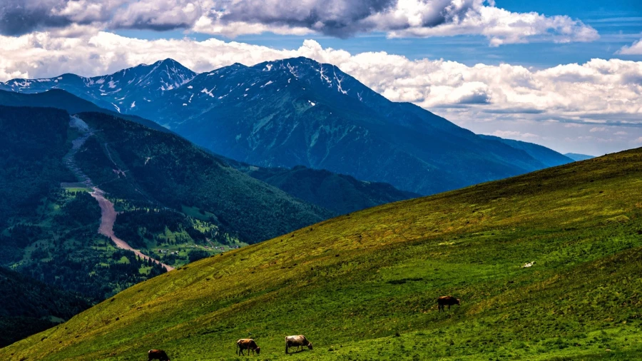 Blick auf den Pietrosul Rodnei