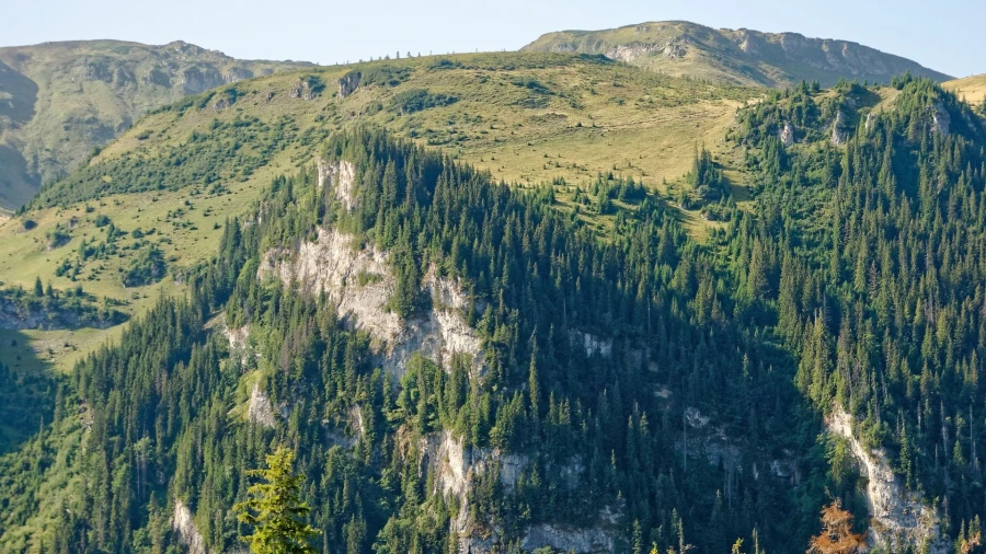 Rodnaer Gebirge