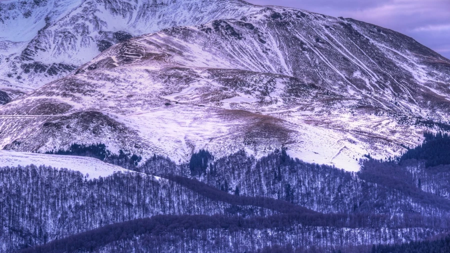 Muntele Mic - Blick auf das Țarcu-Gebirge