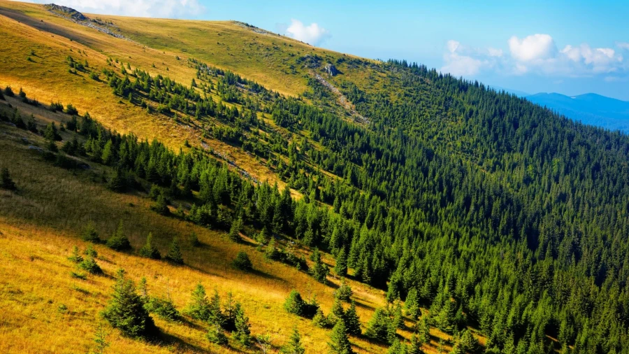 Landschaft am Muntele Mic