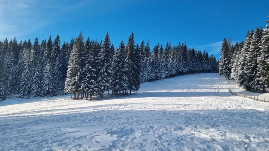 Skipiste Muntele Băișorii