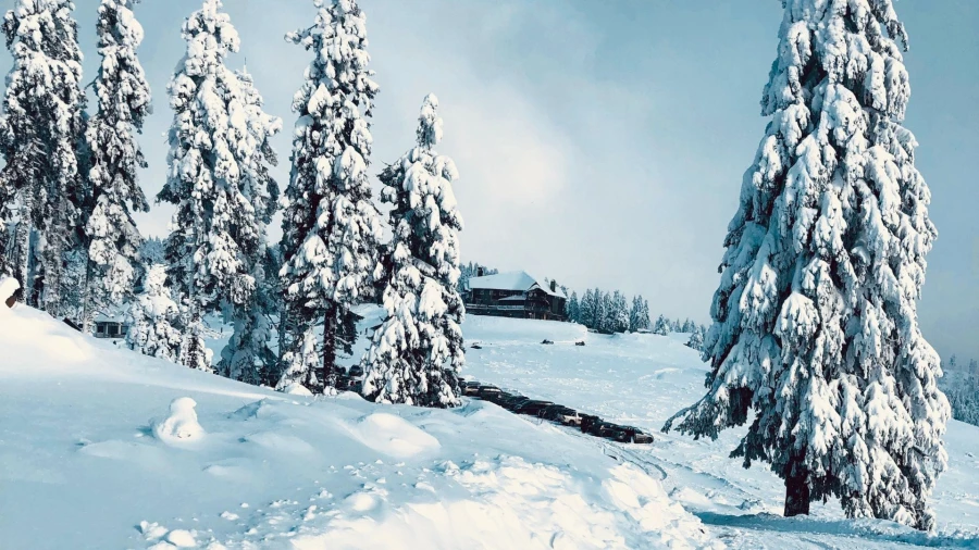 Winter in Harghita