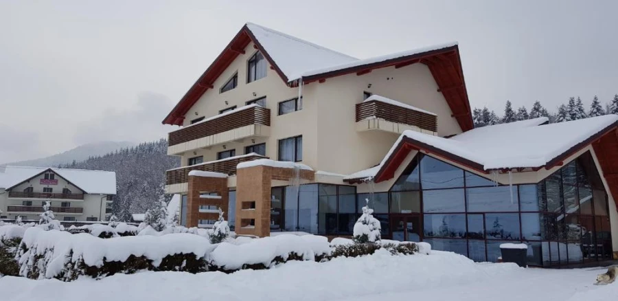 Pension Davideea
