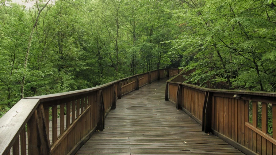 Holzbrücke in Sovata