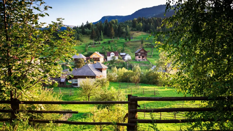 Borșa