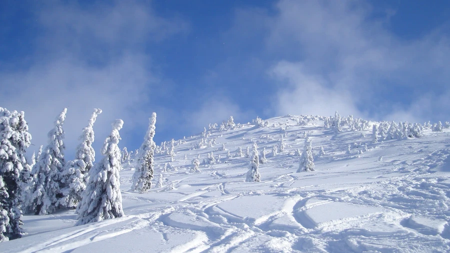 Winterlandschaft in Straja