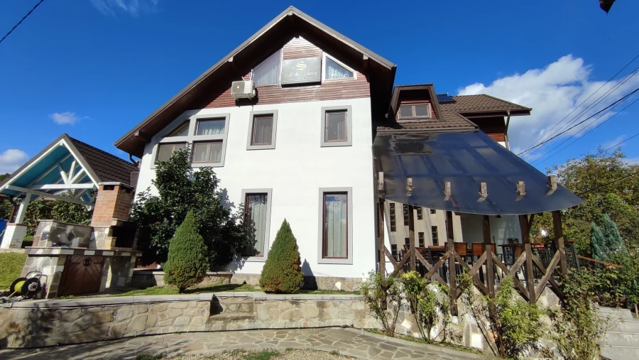 Vila Slănic