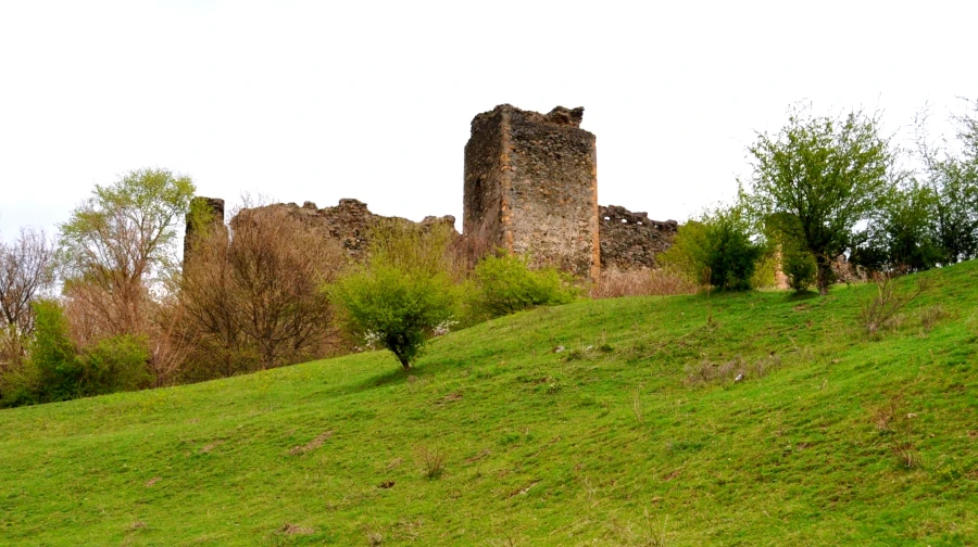 Șoimoș Fortress