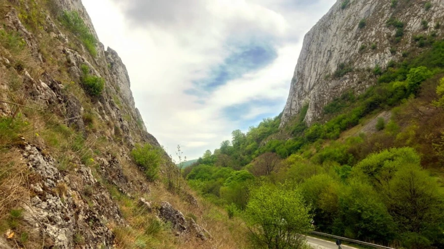 Vălișoara Gorges landscape