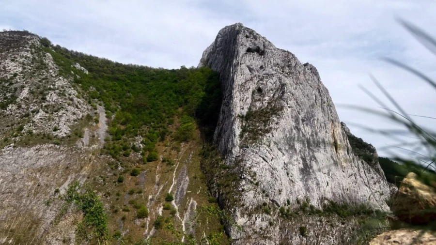 Left slope of the Vălișoara Gorges