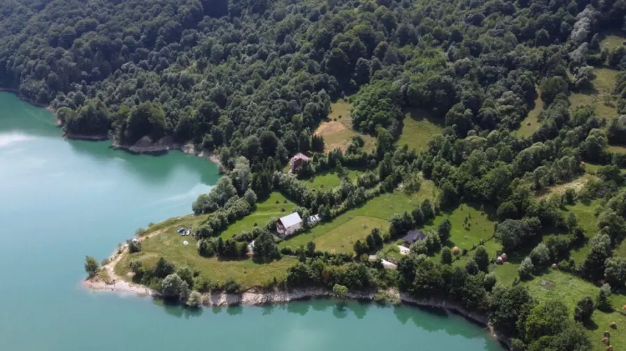 Cabin by Lake Paltinu