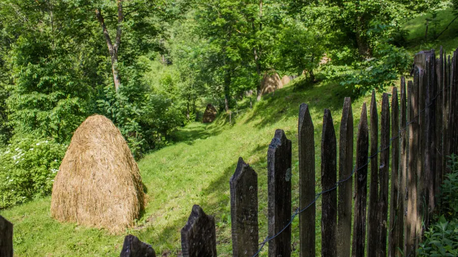 Summer landscape in the Doftana Valley