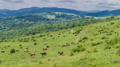 Hike to Secăria Peak