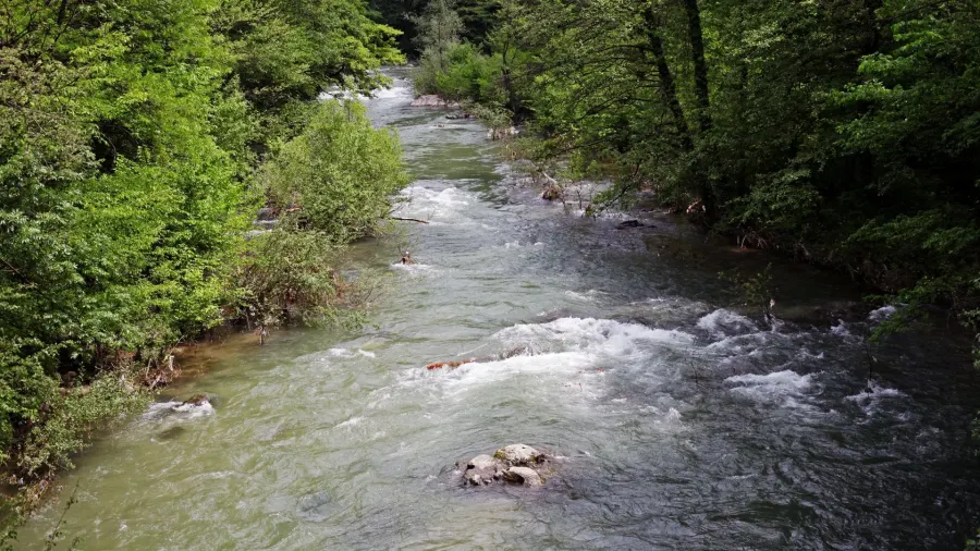 Fluss Cerna