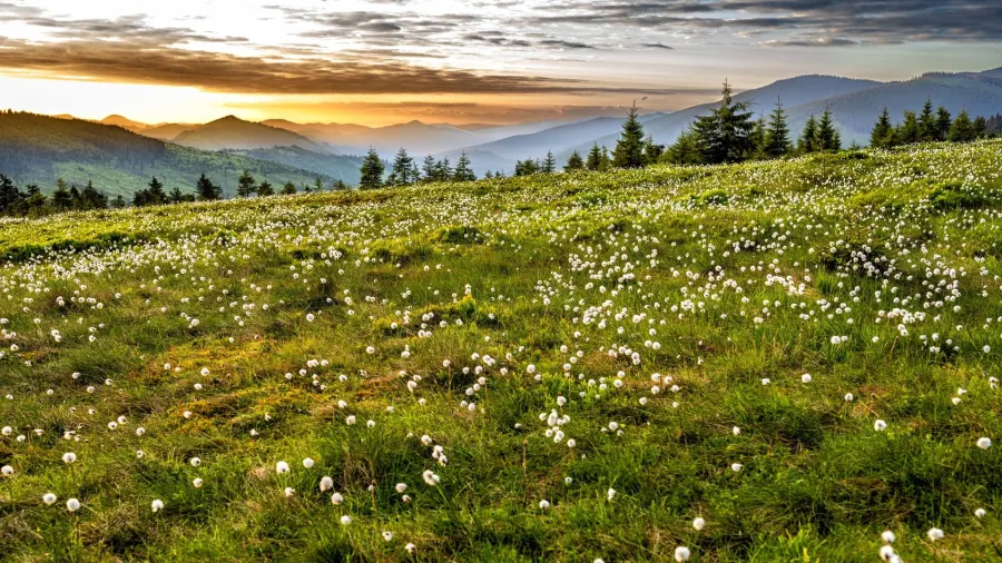 Prislop-Pass bei Sonnenaufgang