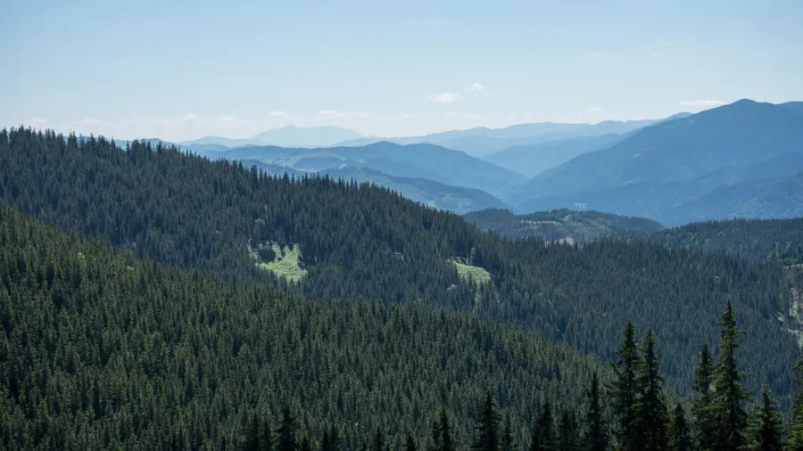 Rarău-Gebirge