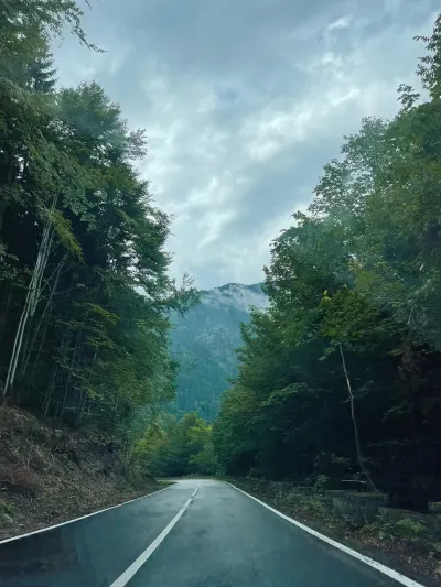 Strecke durch den Wald