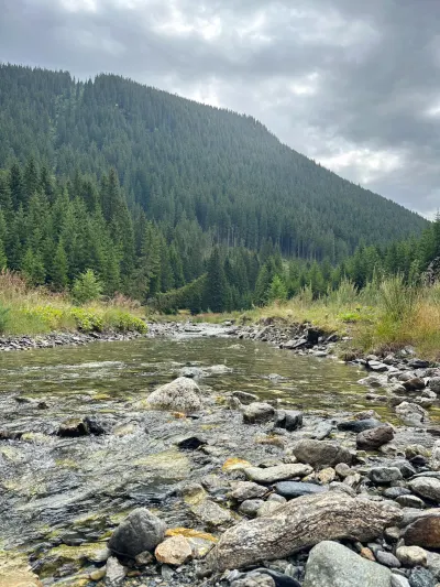 Flussbett des Lotru
