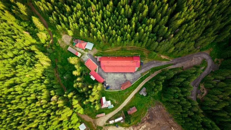 Cabana Cerbul-Oașa Transalpina