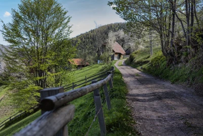 Country road with an old house
