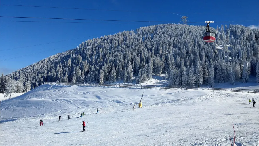 In Poiana Brașov